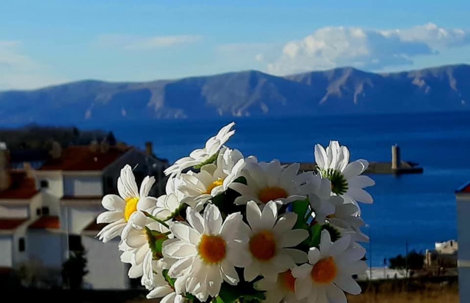 Beautyful Sea View 6 Luxury Studio Danijela 1 塞尼 外观 照片